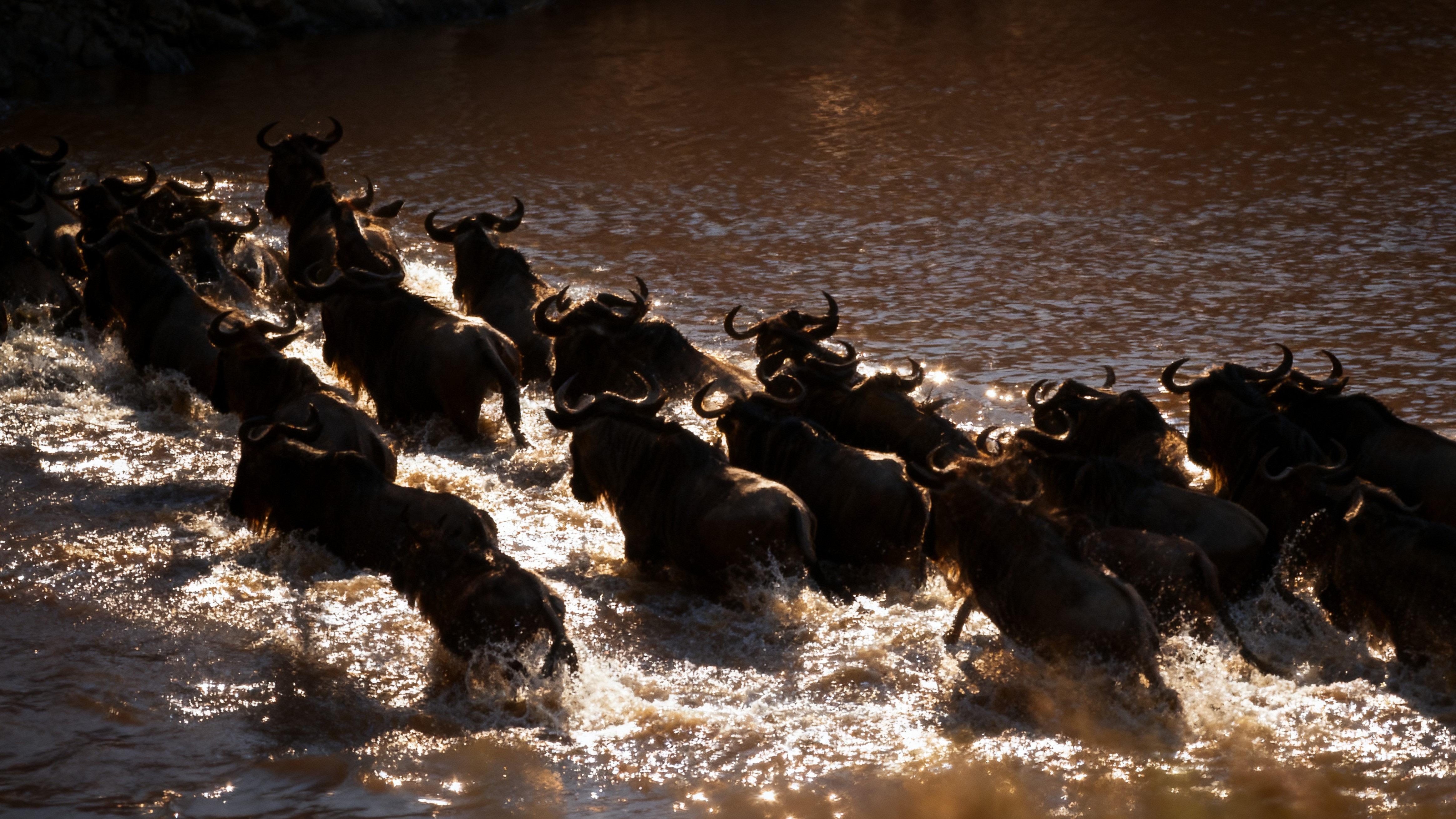 肯尼亚野奢探索